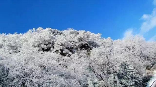 江苏超额完成2023年残疾人就业任务，新业态就业被重点关注
