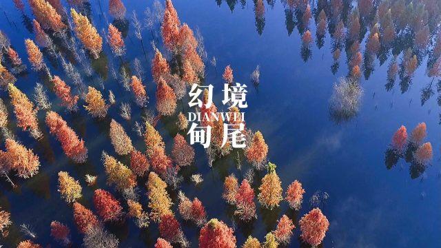 中秋节的传统民俗游戏画面