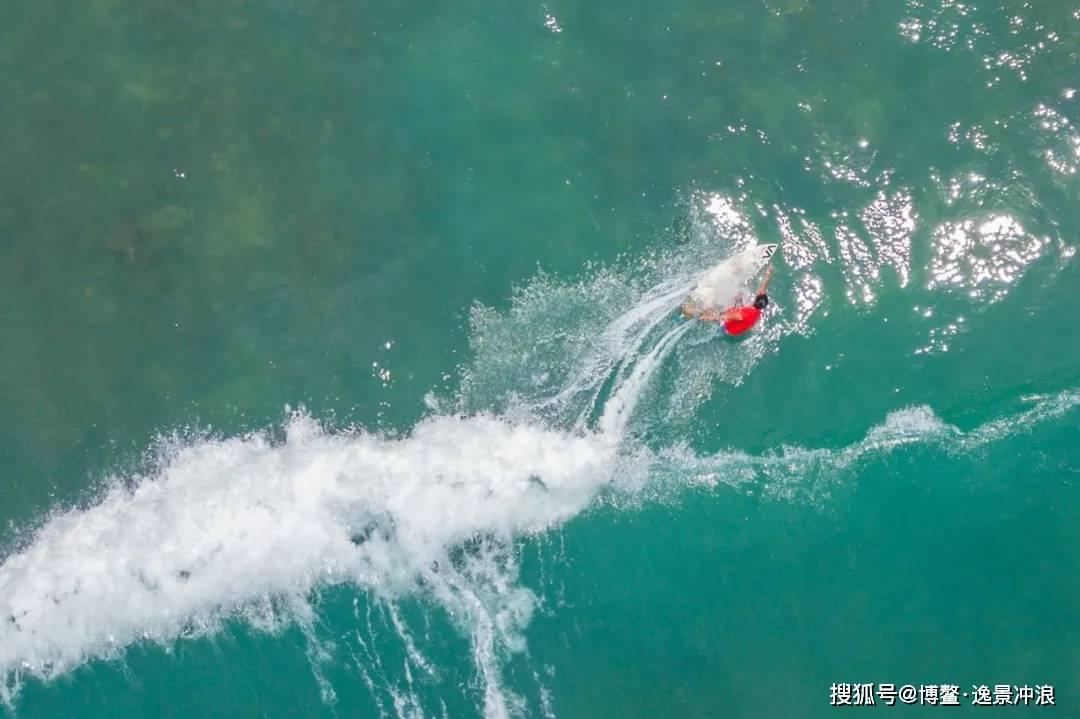 爱旅行的芭比